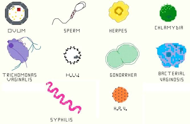 nemi úton terjedő vírusok féregkezelő rendszerek